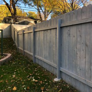 I stained my fence blue!