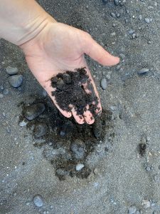 My hand holding some of the black sand